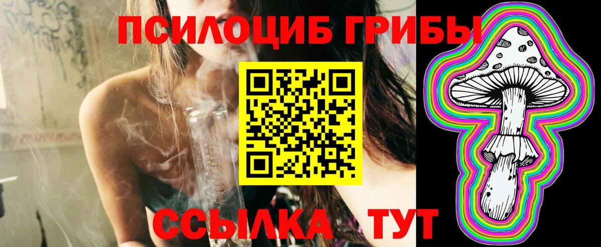 Галлюциногенные грибы Cubensis  Вход с VPN  Жуковский 
